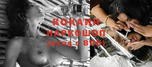 spice Краснослободск