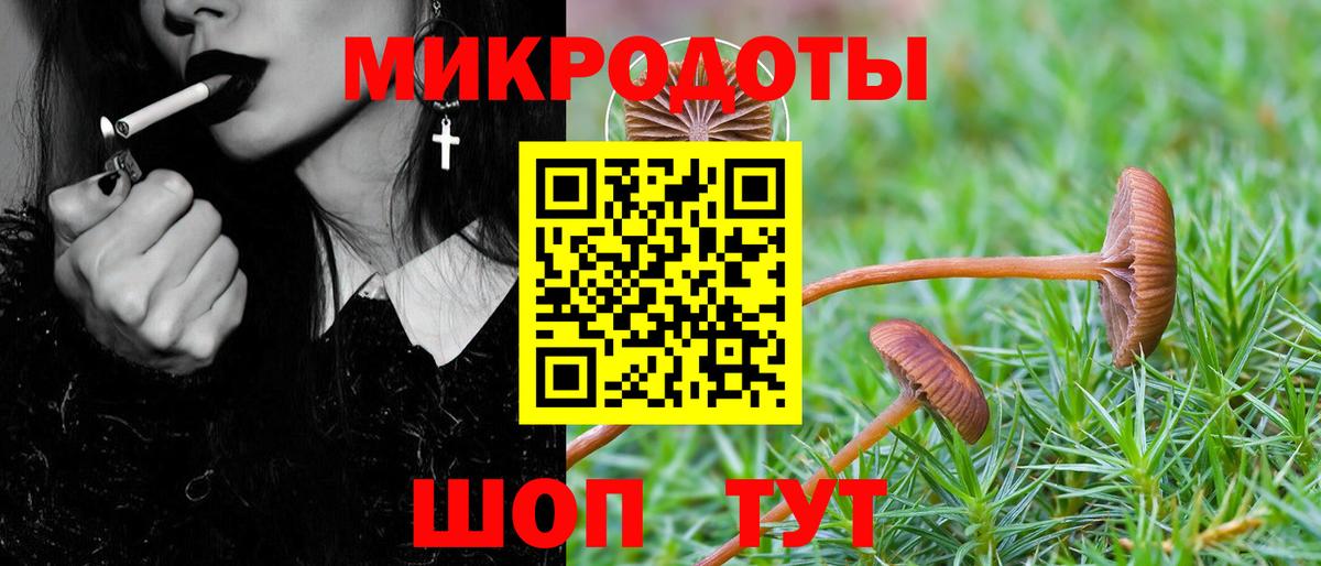 Галлюциногенные грибы мухоморы  Вход с VPN  Галлюциногенные грибы Psilocybine cubensis  Каменск-Шахтинский 