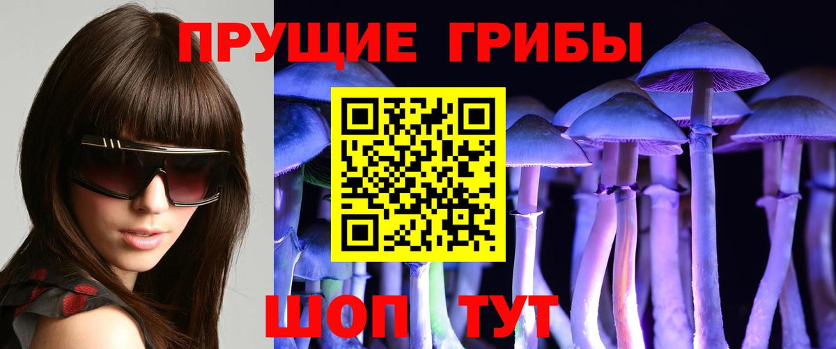 Псилоцибиновые грибы мухоморы Каменск-Шахтинский